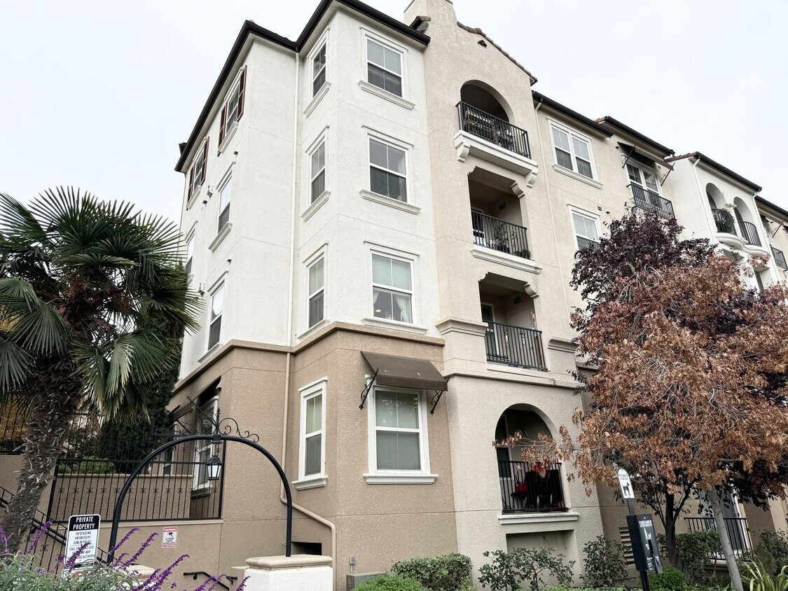 Primary Photo - Perfect Shape Luxury Condo in the Terraces...