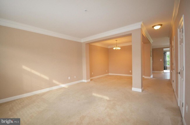 Foto del edificio - 301 Old Squaw Ct