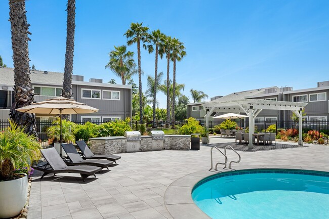 Pool and Spa with BBQ island - Aggie Square Apartments