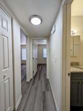 141 E. Davis Blvd #105 - Davis Islands Apartments