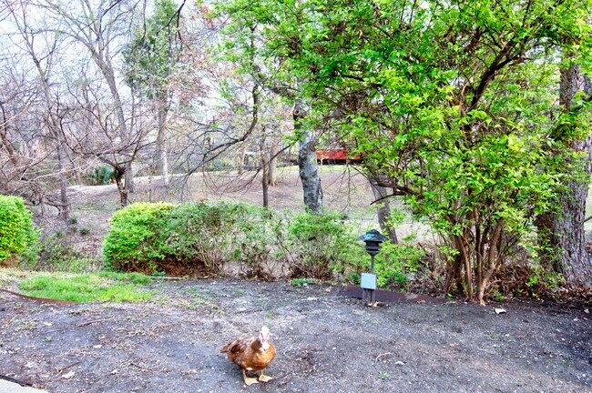 Foto del edificio - 4837 Cedar Springs Rd