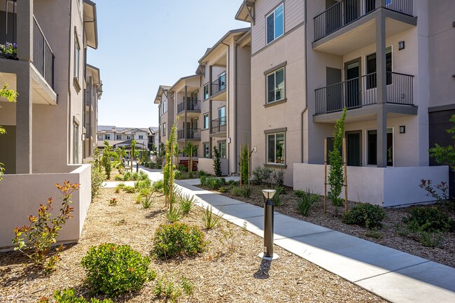 Building Photo - Arrive Vacaville