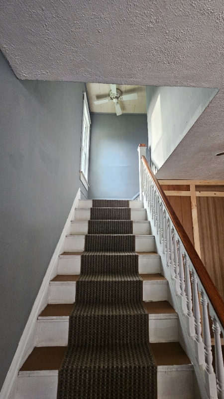 Foto del edificio - 361 Fort St