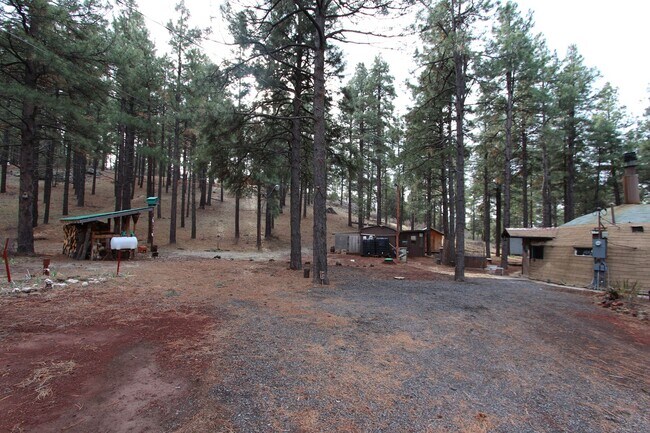 Foto del edificio - Unique Dome-Shaped Studio Surrounded by Ponderosa Pines With MOVE-IN Special! $300 off 1st month