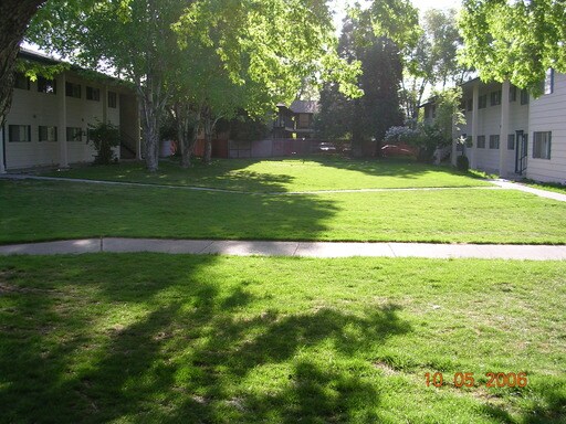 Primary Photo - 350 3rd St