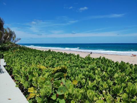 Foto del edificio - 5500 Old Ocean Blvd