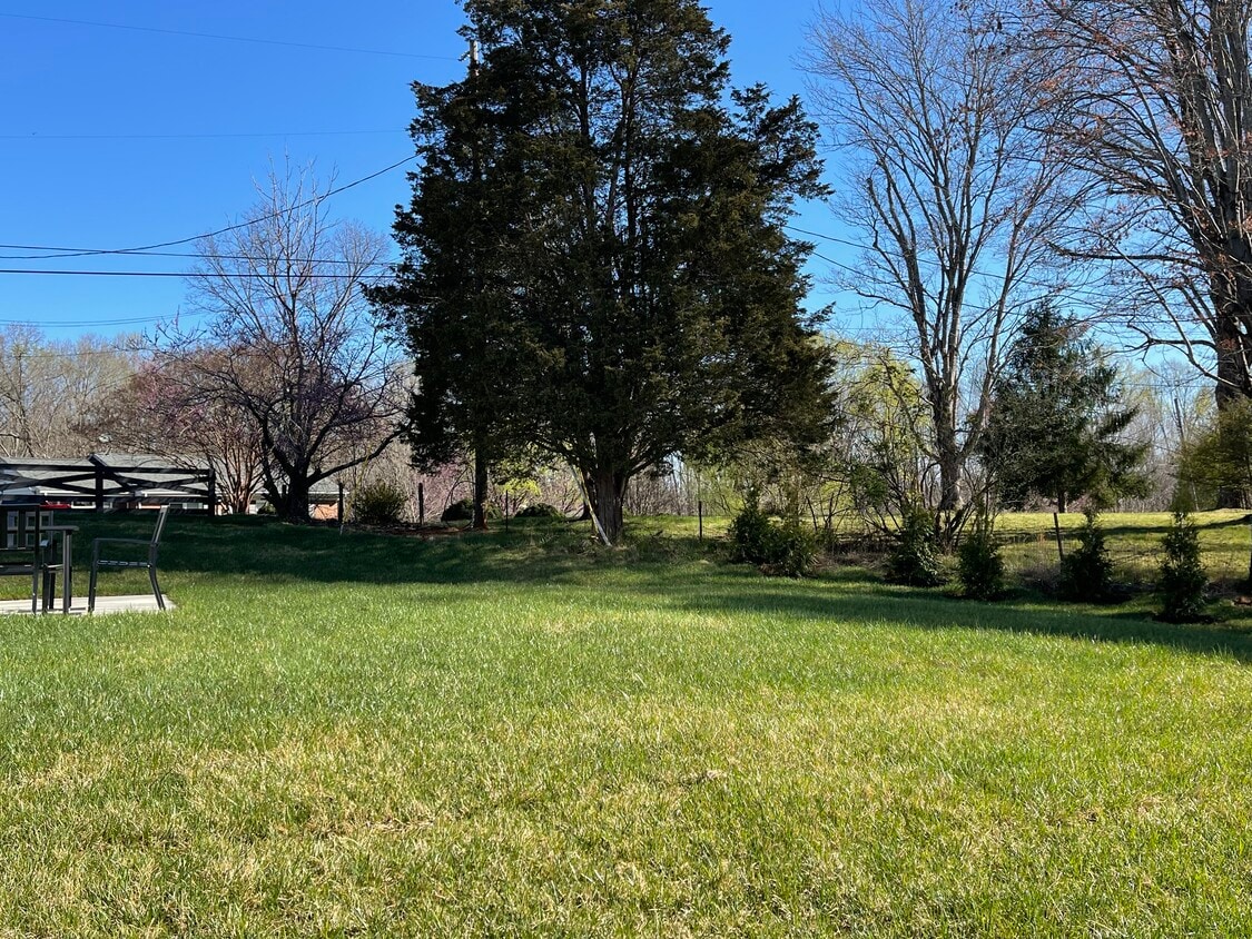 Back yard - 103 Jordan Ct