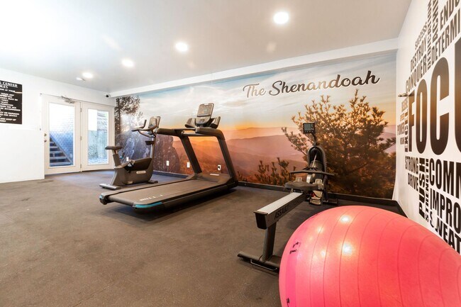 Interior Photo - Shenandoah Apartments