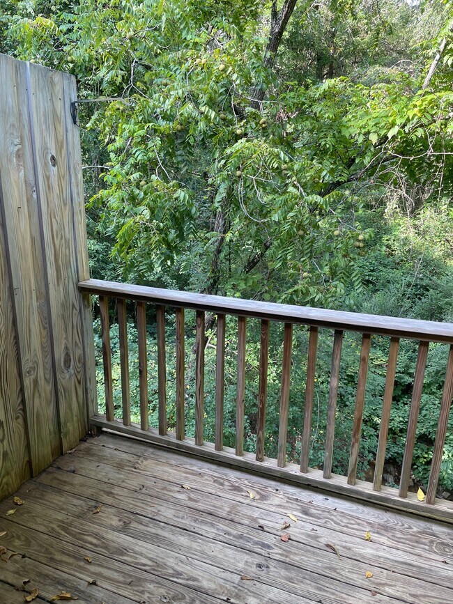 Deck View - 222 New Stock Rd