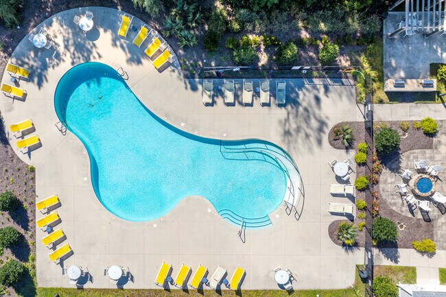 Piscina - The Preserve at Carteret Place