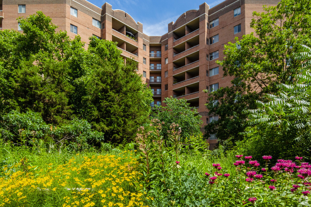 Jardín con plantas autóctonas - Ballston Park