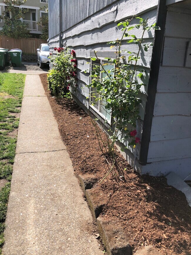 Side garden. - 12317 35th ave NE