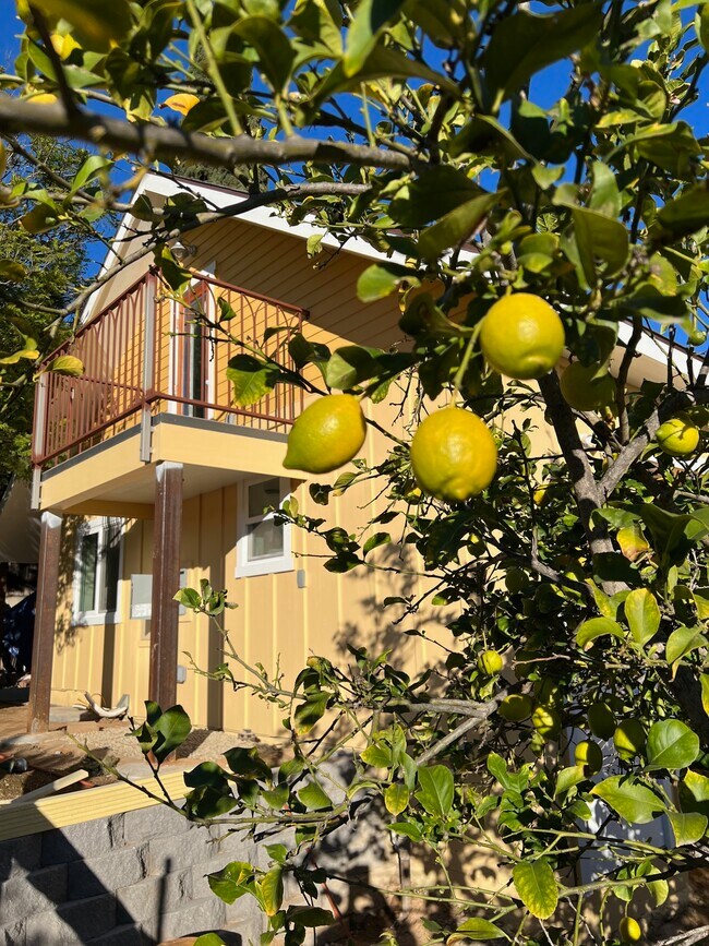 Balcony View from garden - 85 La Cross St