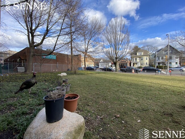 Building Photo - 5 Linnaean St