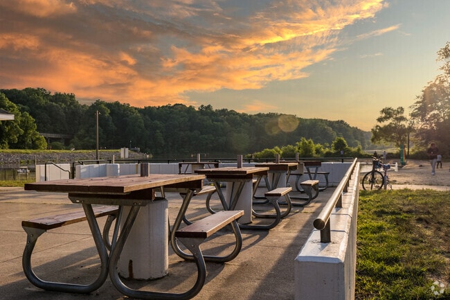 Relax and unwind in Springfield's scenic picnic area.