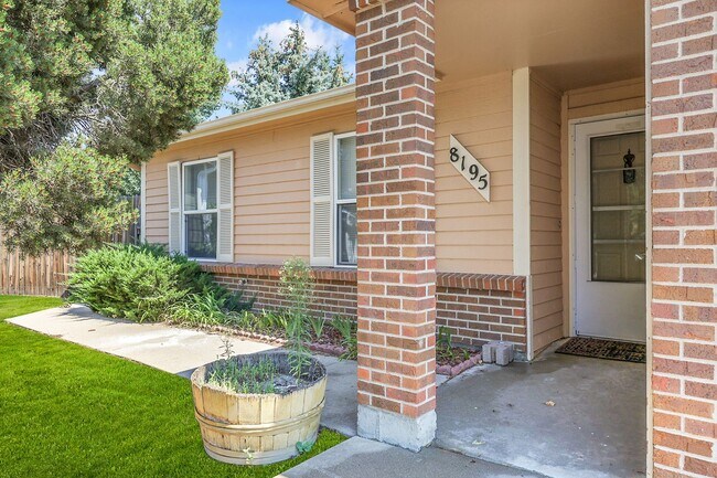 Foto del edificio - Ranch-Style Home in Briargate! D20 Schools