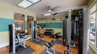 This fitness center is designed to support a comprehensive workout experience within a bright and inviting environment. The space features a distinctive two-tone color scheme, with soft yellow on the upper walls and a bold teal band running along the mid-wall, giving the room an energetic yet approachable atmosphere. Warm hardwood-style flooring runs throughout, complementing the clean, modern aesthetic.

The cardio zone is anchored by a row of treadmills and elliptical machines, including Nautilus-branded equipment, positioned alongside a full-length mirror wall that enhances the sense of openness. Large floor-to-ceiling windows and glass doors offer direct views of a lush outdoor pool and patio area, flooding the space with natural light and creating a motivating, resort-like atmosphere. Multiple wall-mounted flat-screen televisions are positioned for easy viewing from the cardio stations.

The strength training area includes a multi-function cable machine, a weight bench with attachments, and a tiered dumbbell rack stocked with a full range of free weights. Protective rubber mats are placed beneath all equipment. Recessed and panel lighting ensures the space is well-lit throughout. A ceiling fan aids in air circulation, and the layout allows for comfortable movement between stations, making this fitness center a functional and enjoyable facility for all types of workouts.