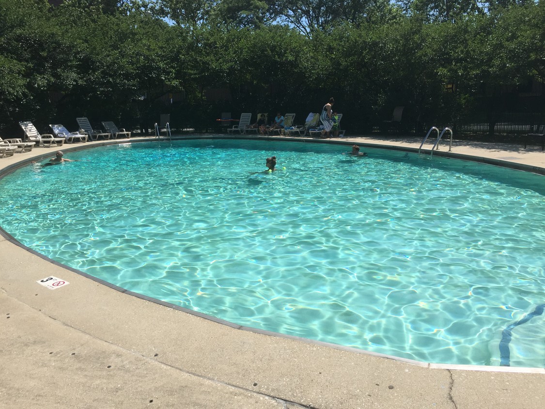 pool - 1450 E 55th Pl