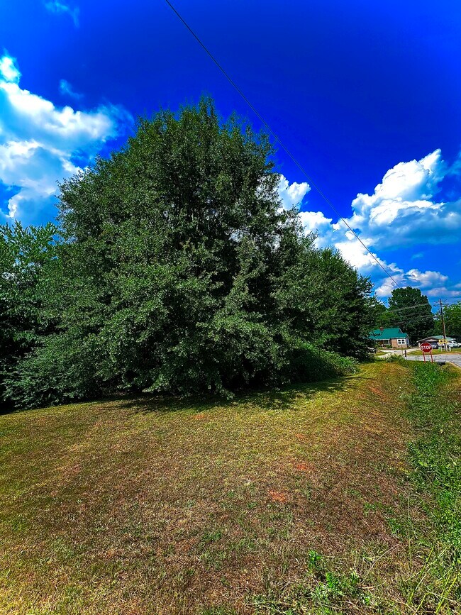Foto del edificio - 367 E Reedy Fork Rd