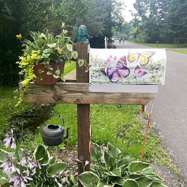 Mailbox - 26B Rochester St