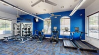 Located in McKinney, TX, this single-floor fitness center offers a well-equipped workout space designed to support a full range of exercise routines. The room is immediately distinguished by its bold royal blue accent walls, which contrast sharply with the white ceiling and walls, creating an energetic and motivating atmosphere. The phrase "No Pain No Gain" is prominently displayed in large lettering, reinforcing the space's fitness-focused identity.

The facility is outfitted with a comprehensive selection of equipment, including treadmills, ellipticals, a recumbent bike, and an upright stationary bike for cardiovascular training. Strength training is well-represented with a multi-functional cable machine, a dedicated free weight rack with dumbbells, adjustable weight benches, and a leg press attachment. TRX suspension straps and stability balls round out the functional fitness options.

Natural light filters in through multiple arched and rectangular windows, offering views of surrounding greenery and keeping the space feeling open despite its compact footprint. Ceiling fans are mounted throughout to maintain airflow, and linear overhead lighting provides consistent illumination. Wall-mounted televisions add an entertainment element during workouts.

The flooring consists of patterned modular carpet tiles in a blue, grey, and charcoal geometric design, tying the room's color scheme together cohesively. Full-length mirrors along one wall enhance the sense of space and allow users to monitor their form during exercise.