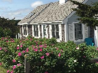 Cape Cod duplex Cottage - 16 Craigville Beach Ln