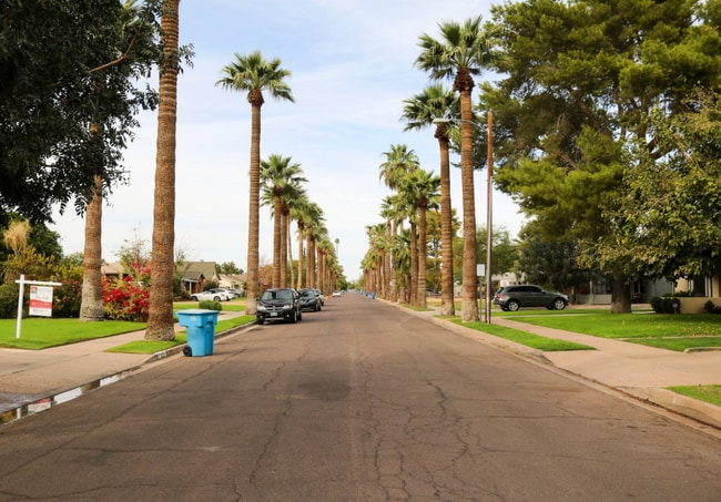 calle arbolada - 2010 N 16th Ave