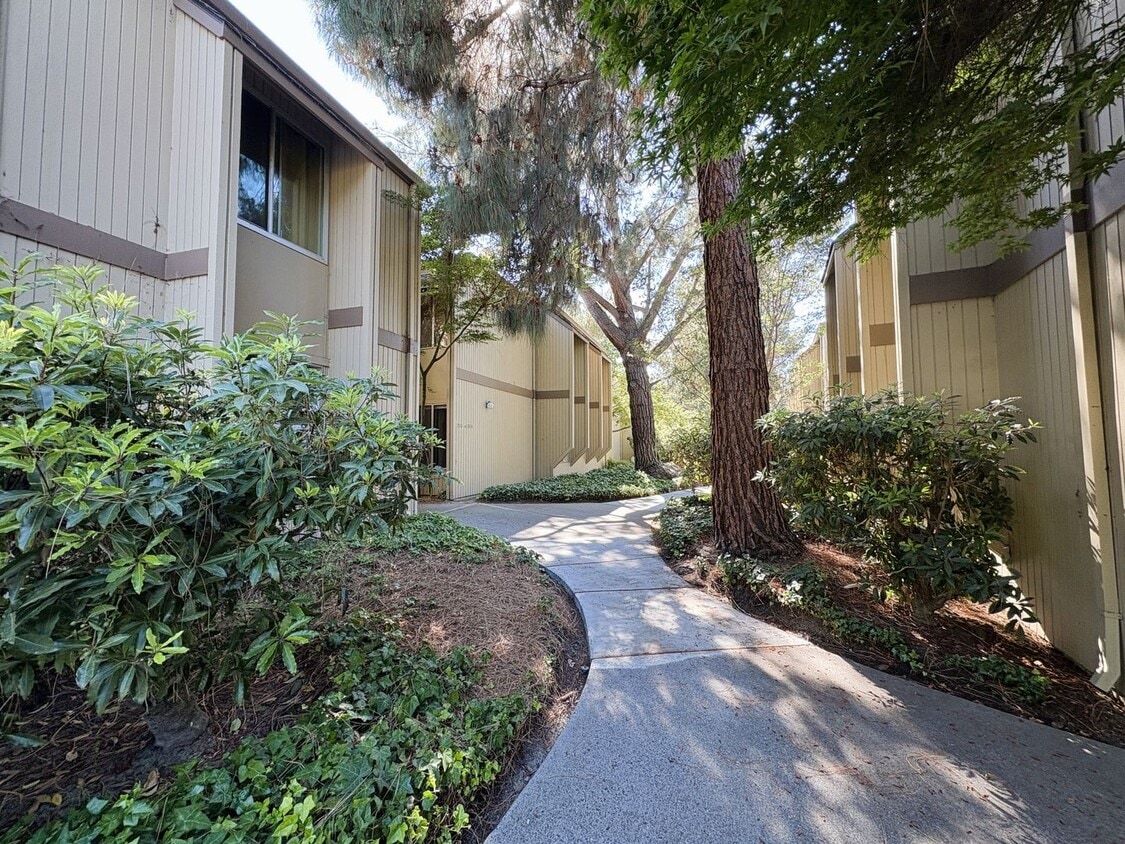 Primary Photo - Charming 2BR/2BA Condo Steps from Downtown...