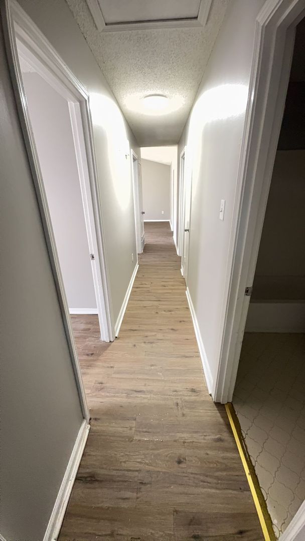 Building Photo - Newly Rehabbed Home in Raleigh - Open To S...