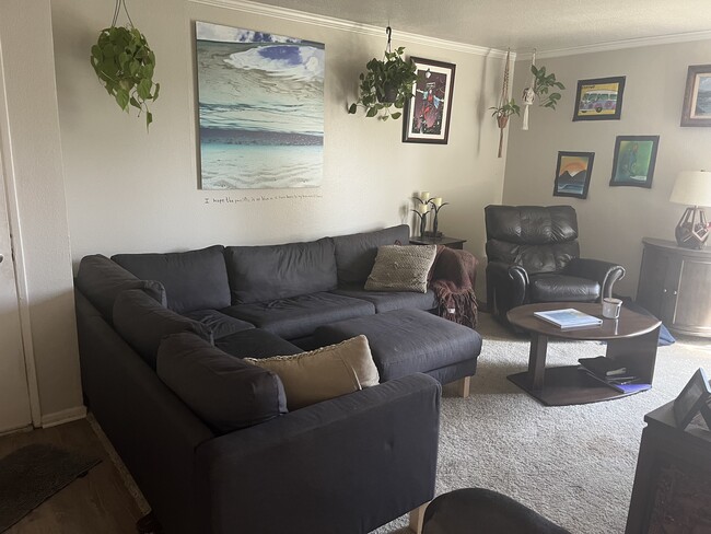 Living Room Couch - 24507 Los Alisos Blvd
