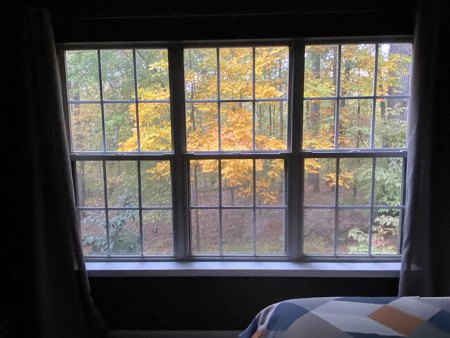 View of Woods from Primary Bedroom - 131 Timberbrook Ln