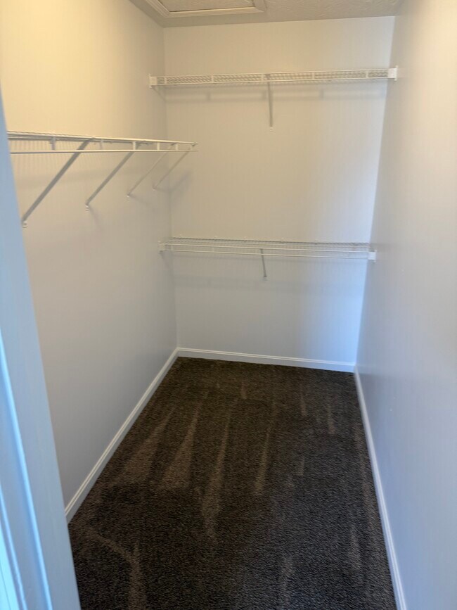 Foto del edificio - 48 Deer Haven Ct