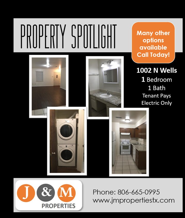 Foto principal - 1002 N Wells St
