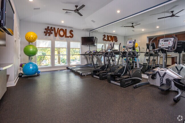 Gimnasio - Knox Row