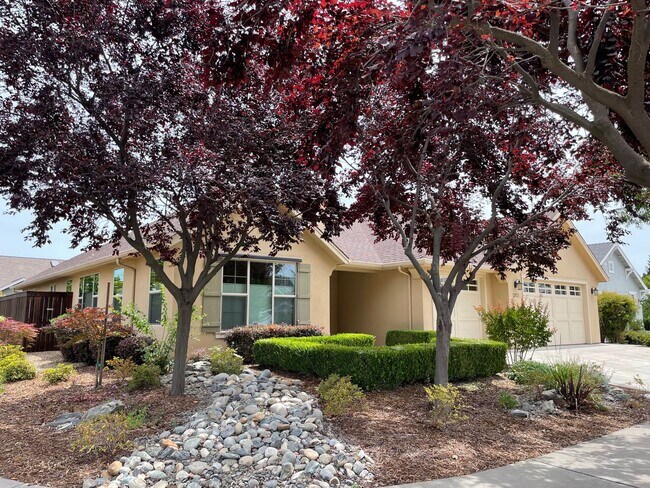 Foto del edificio - 4 Bedroom 2.5 Bath 3 Car Garage!