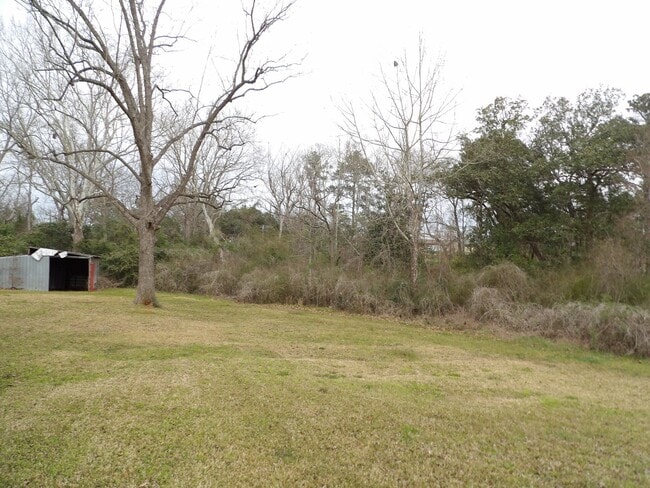 Building Photo - Main Street, Coffee Springs, AL