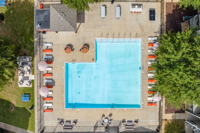 Resort-Style Pool - Albion at Murfreesboro Apartments