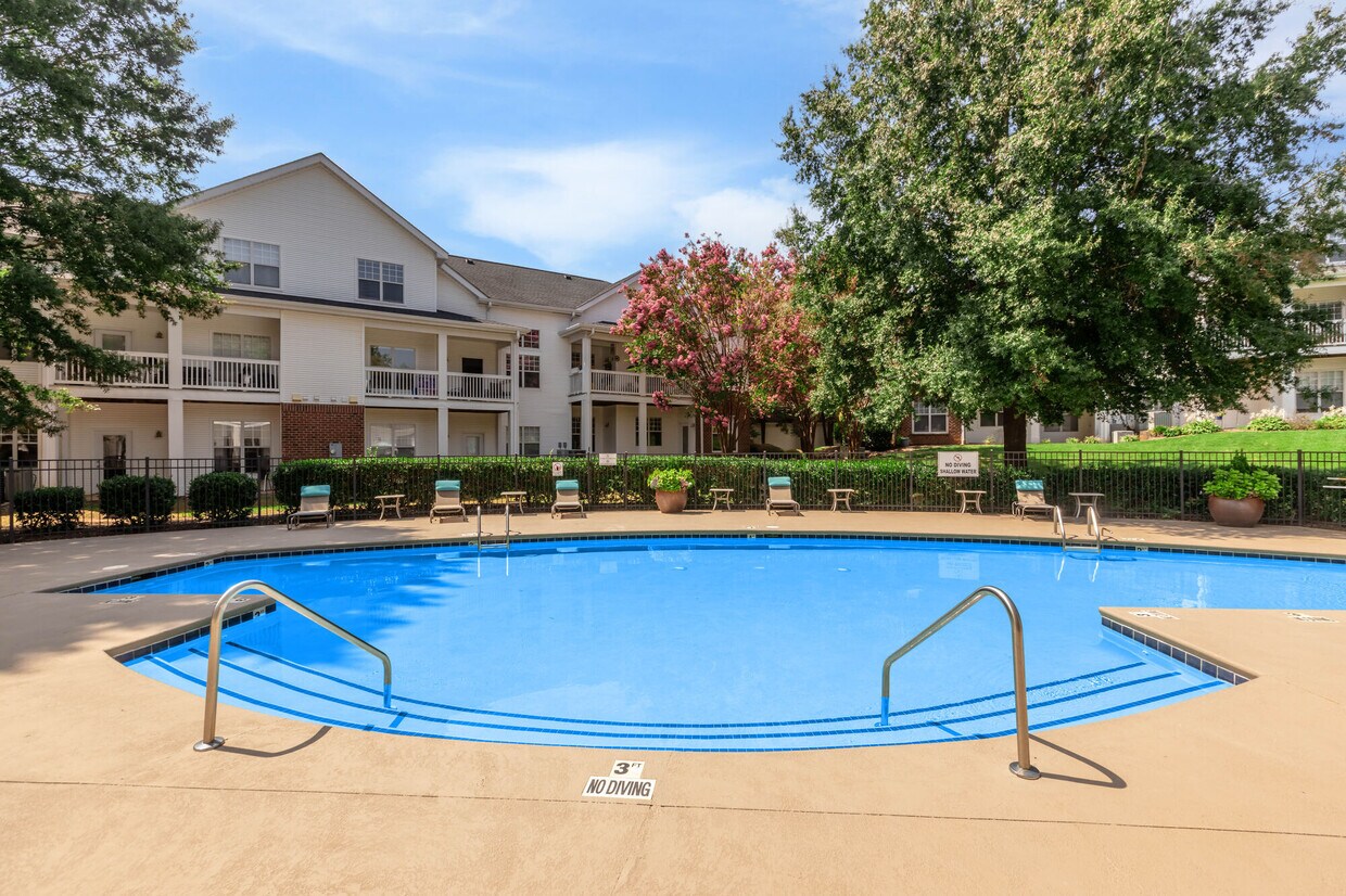 Foto principal - Camellia