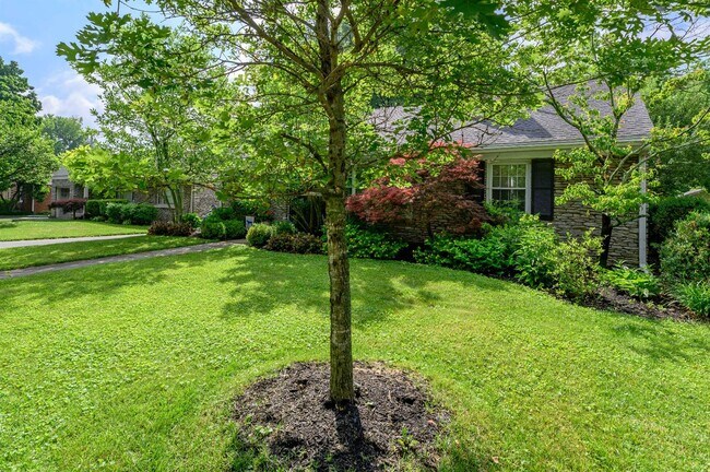 Building Photo - 434 Queensway Dr
