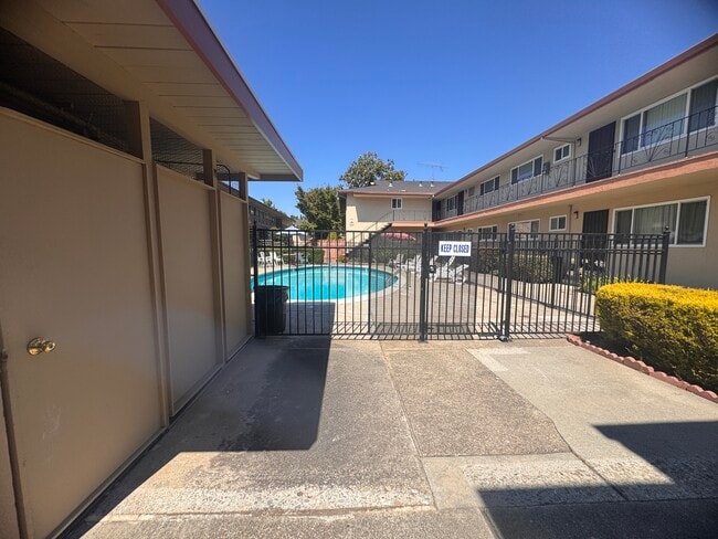 Swimming Pool - 1369 Phelps Ave