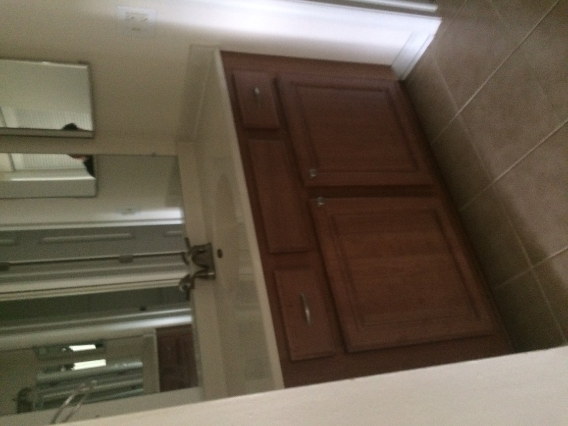 bath room sink - 1004 N Plum Grove Rd