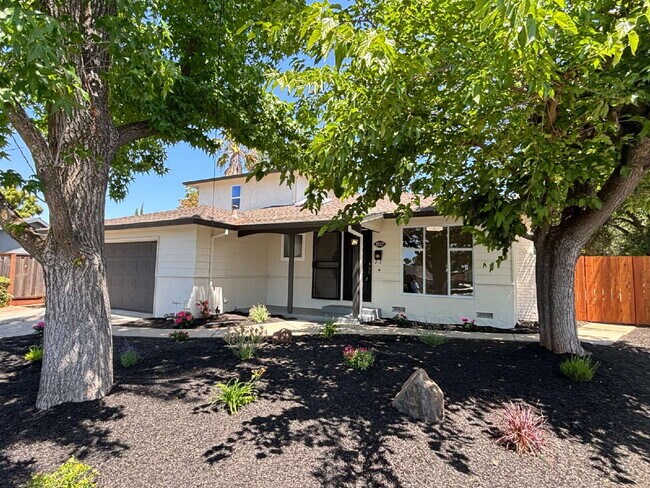 Foto del edificio - "Completely remodeled 4-Bed, 3-Bath Sanctu...