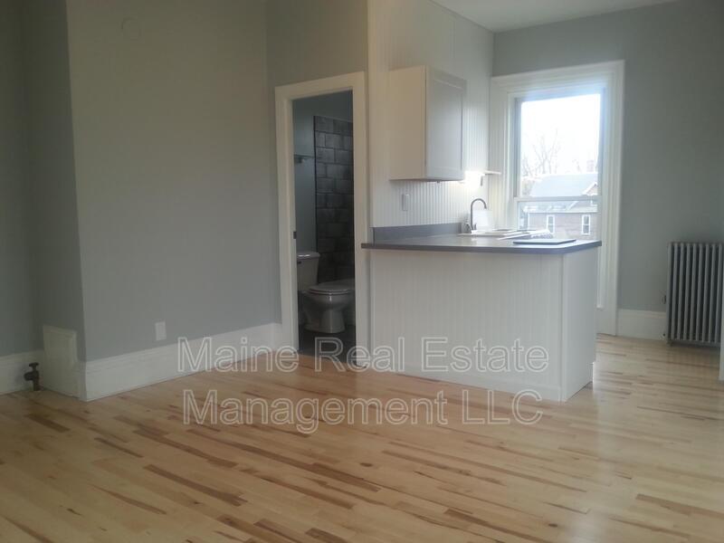 224 State St Unit F, Bangor, ME 04401 Condo for Rent in Bangor, ME