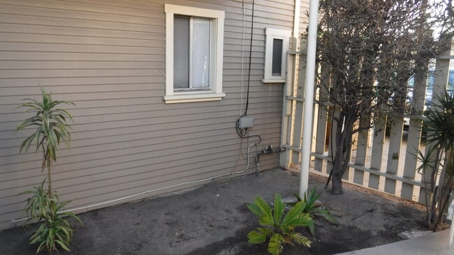 Outside side yard - 721 N Adams St