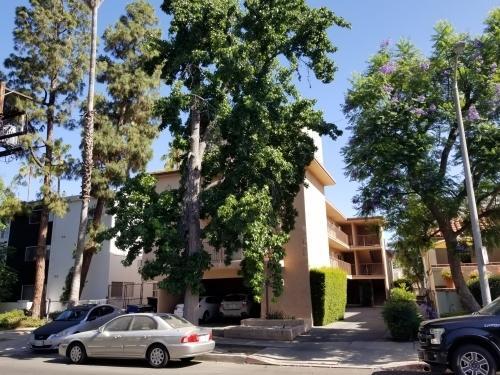 Primary Photo - 1 bedroom in Sherman Oaks CA