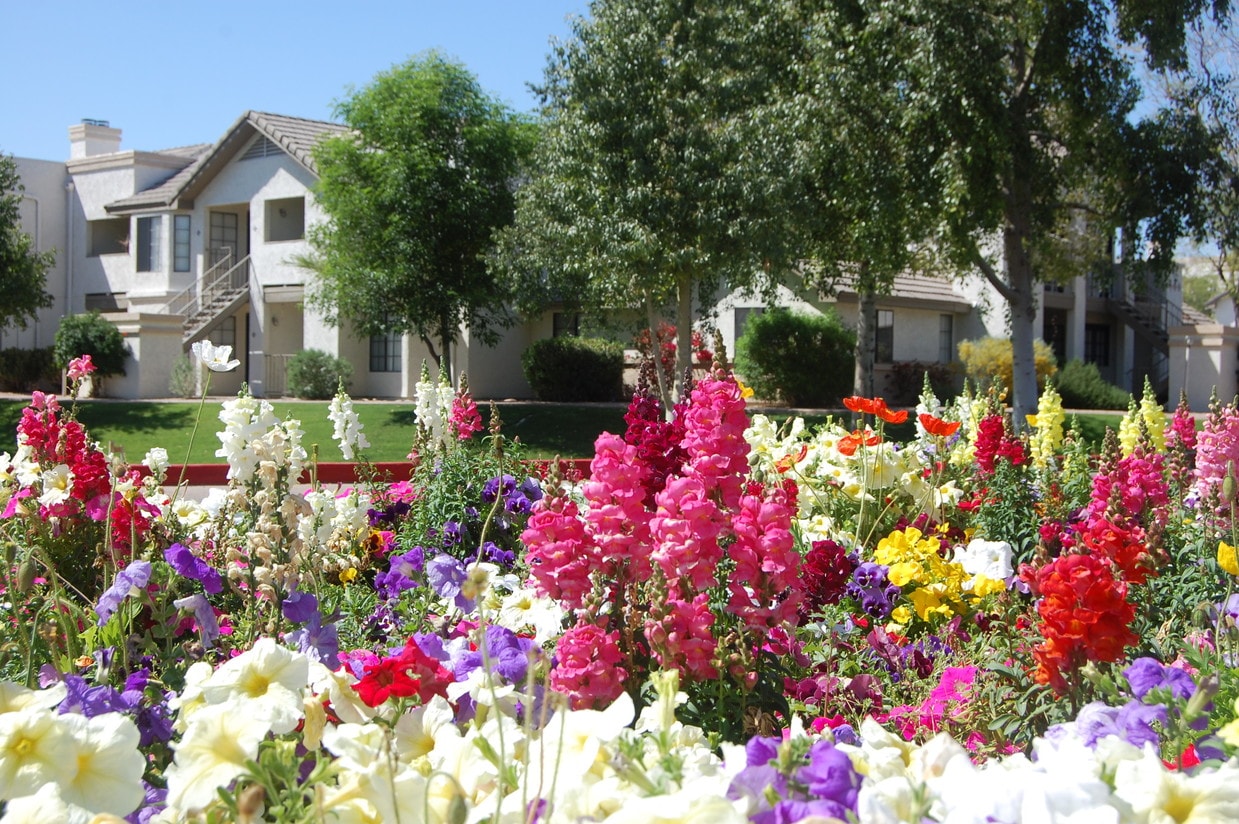 Front Entry - Rise Mountain Ridge