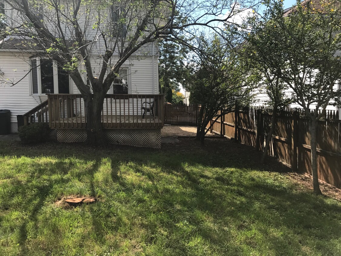 Back yard - 23 south 6th avenue
