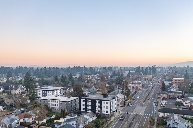 Aerial Photo - The Zelkova