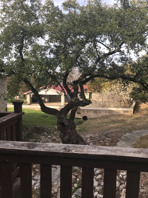 View from Bedroom Balcony - 317 Clayton Nolen Dr