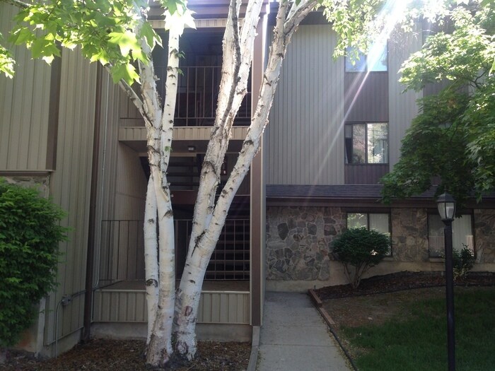 Primary Photo - Spacious Top Floor 3 Bed Condo w view of s...